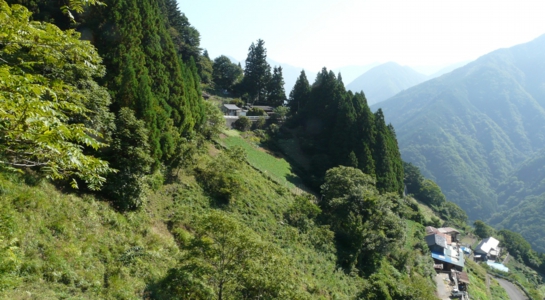2008.09.08_tsukahara202815029.jpg